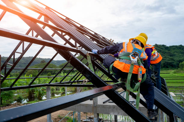Best Roof Maintenance Services  in Duncan Falls, OH