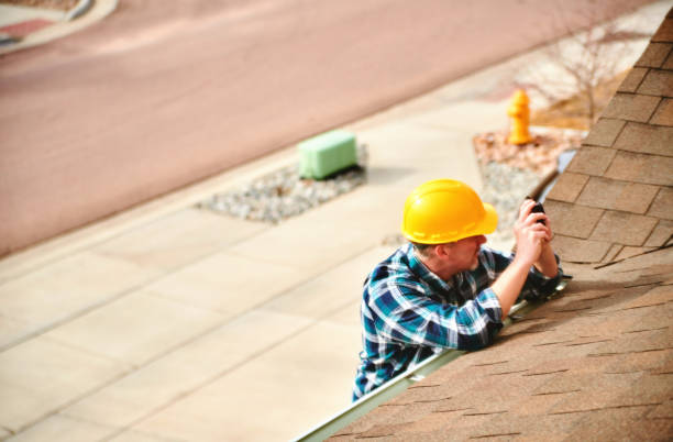 Best Roof Gutter Cleaning  in Duncan Falls, OH