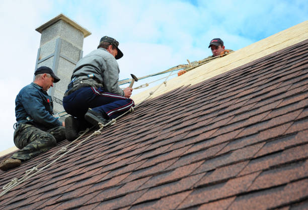 Best Roof Repair Services  in Duncan Falls, OH
